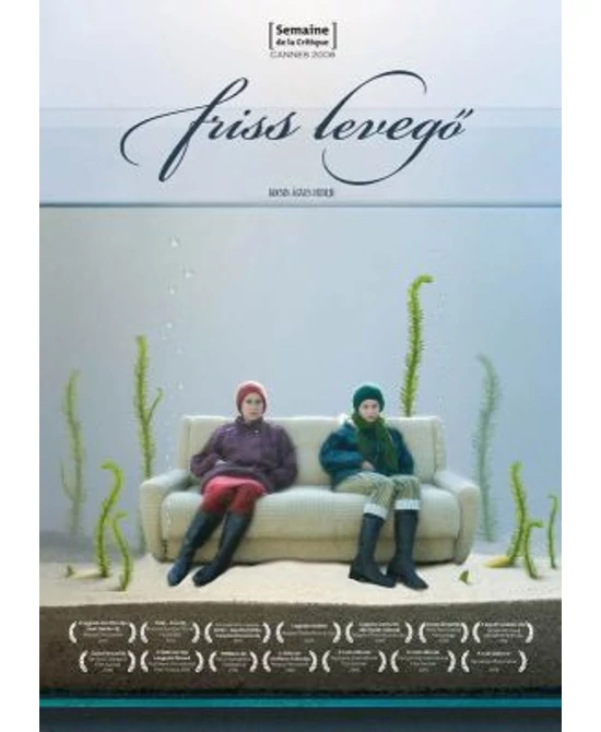 Friss levegő (DVD)