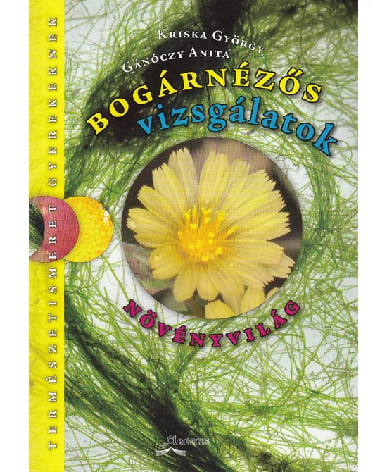 Bogárnézős vizsgálatok