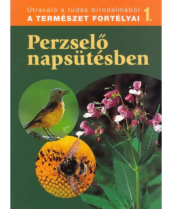 Perzselő napsütésben