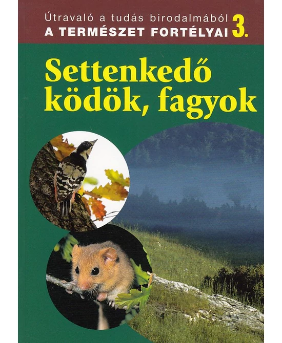 Settenkedő ködök, fagyok