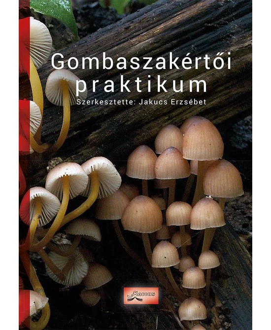 Gombaszakértői praktikum