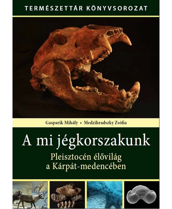 A mi jégkorszakunk