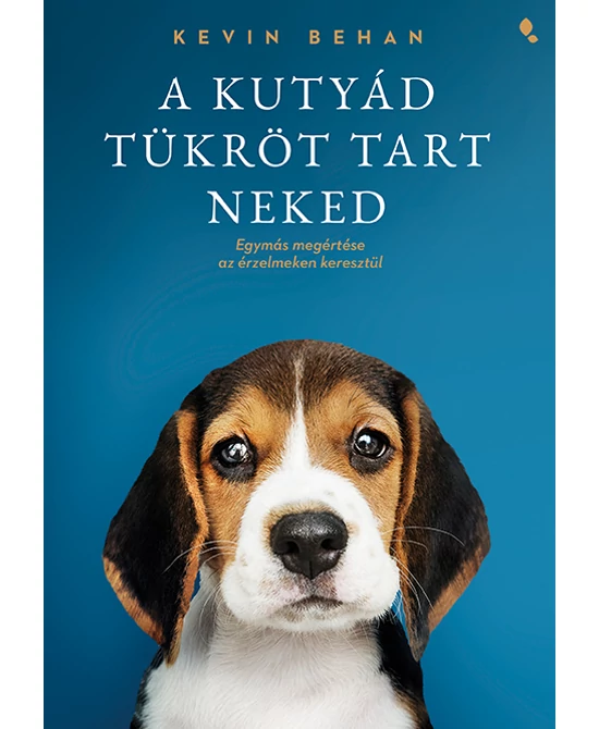 A kutyád tükröt tart neked