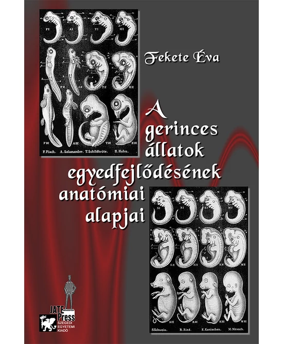 A gerinces állatok egyedfejlődésének anatómiai alapjai