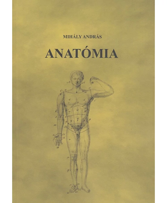 Anatómia