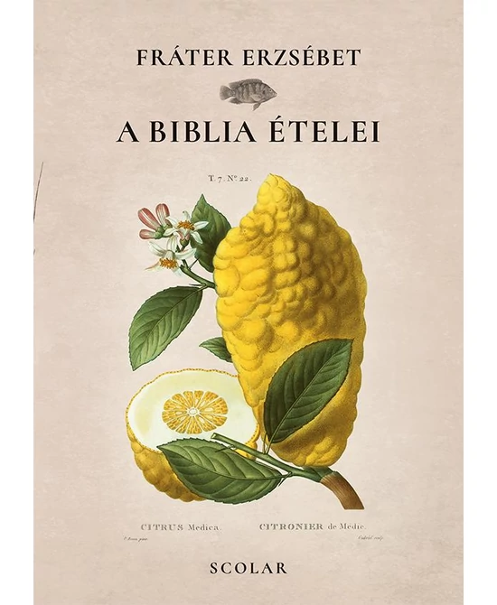 A Biblia ételei