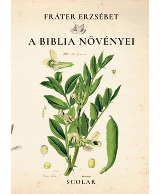 A Biblia növényei