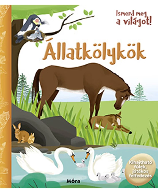 Állatkölykök (Ismerd meg a világot!)
