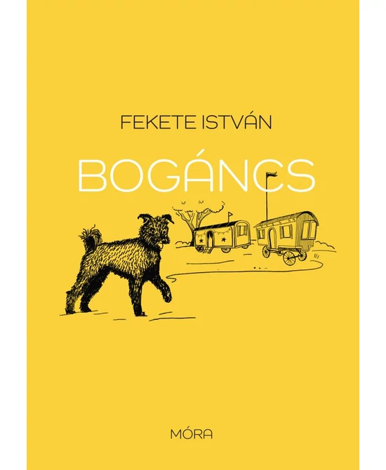 Bogáncs