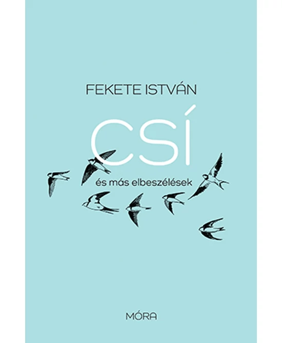 Csí és más elbeszélések