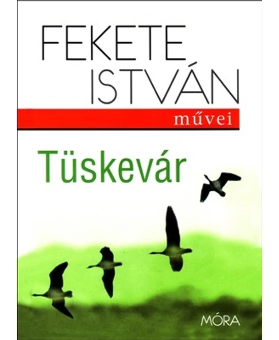 Tüskevár