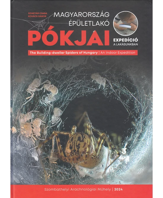 Magyarország épületlakó pókjai