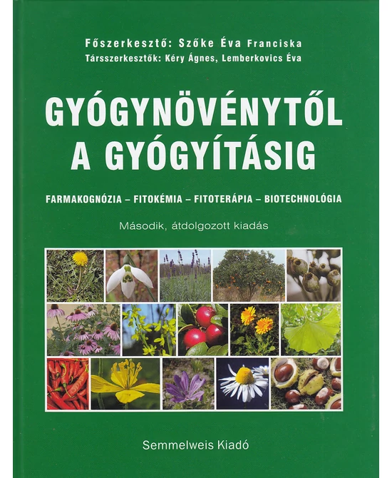Gyógynövénytől a gyógyításig