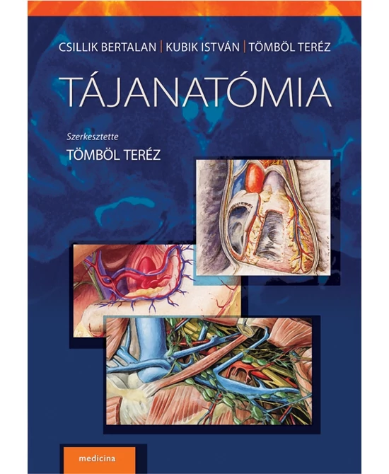 Tájanatómia