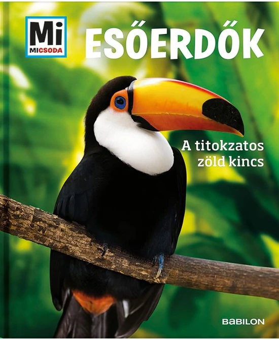 Esőerdők