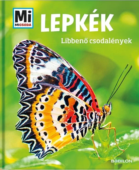 Lepkék