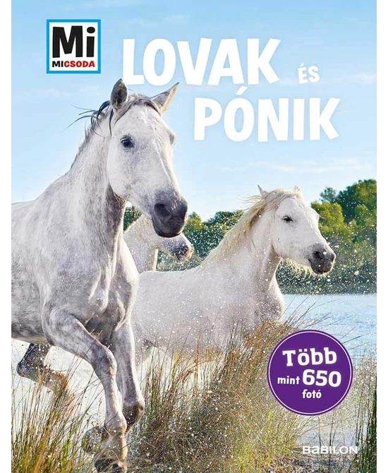 Lovak és pónik