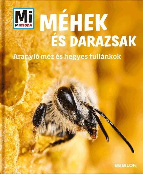 Méhek és darazsak