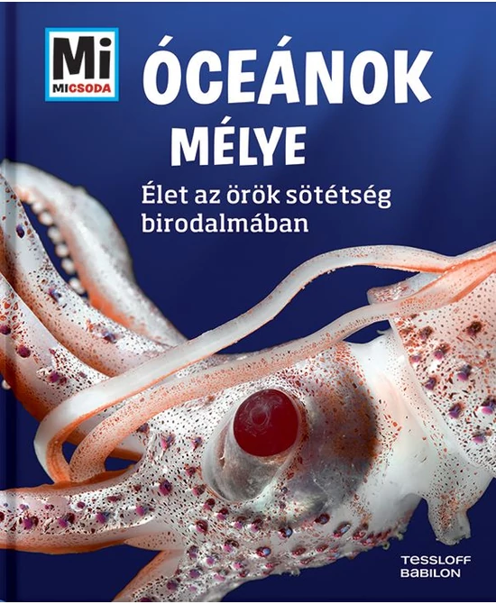 Óceánok mélye