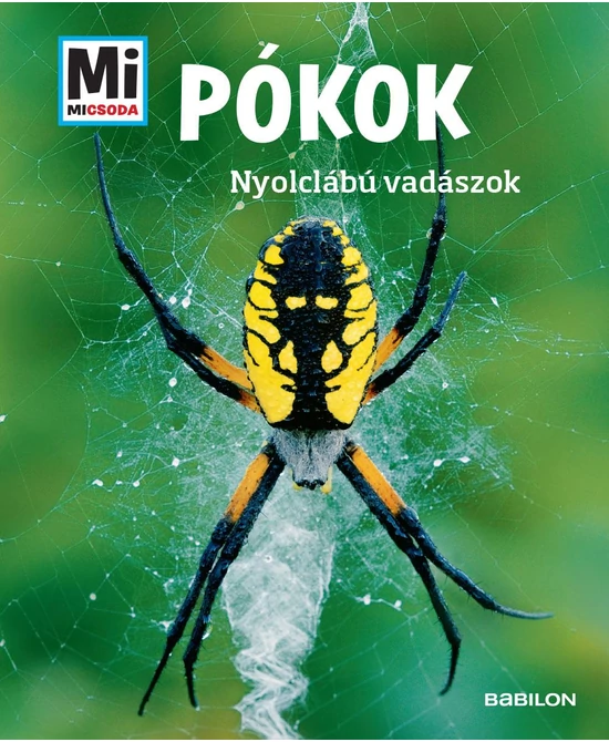 Pókok