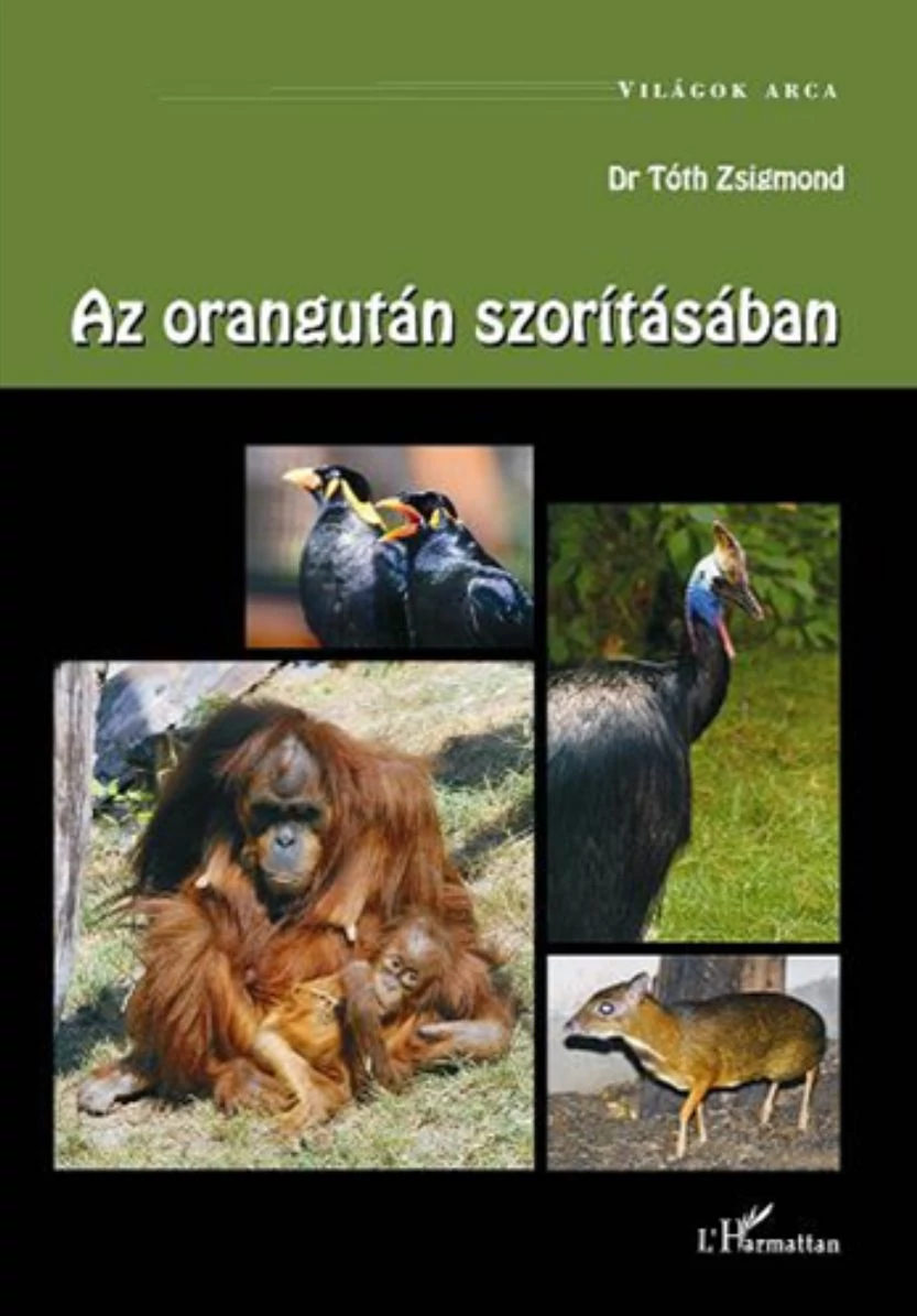 Az orangután szorításában
