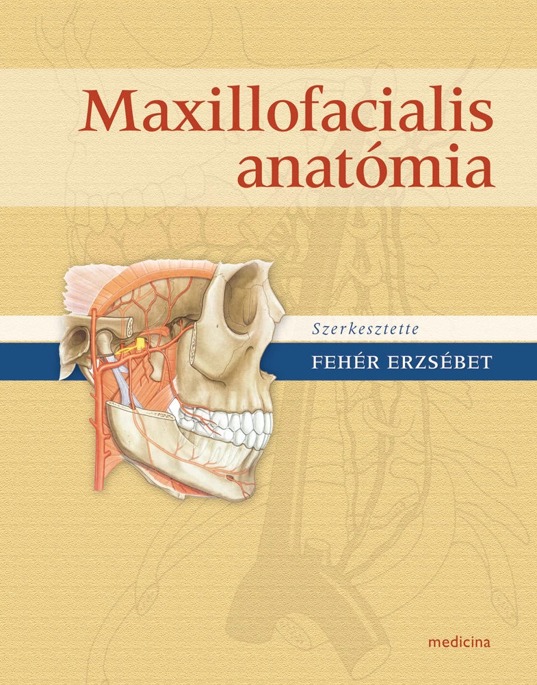 Maxillofaciális anatómia