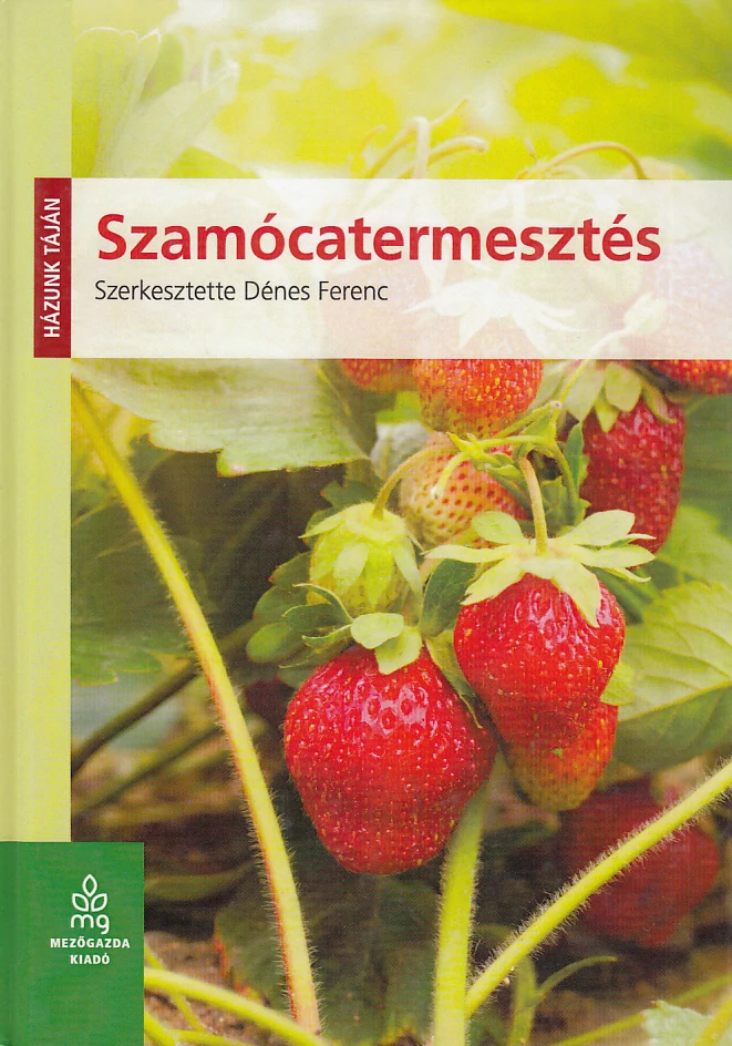 Szamócatermesztés