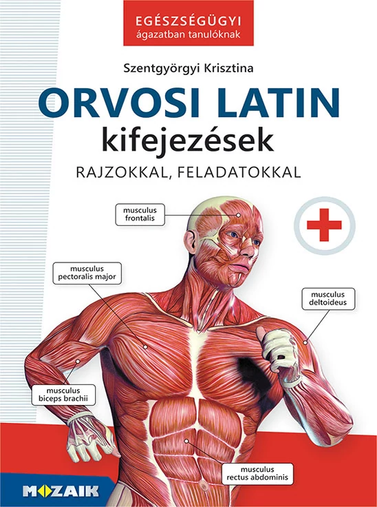 Orvosi latin kifejezések
