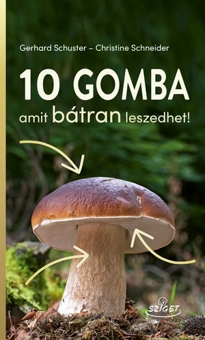 10 gomba – amit bátran leszedhet!