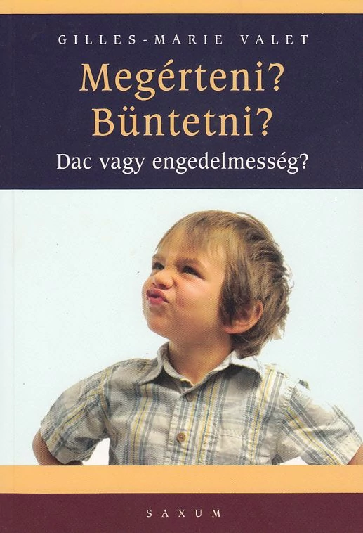 Megérteni? Büntetni?