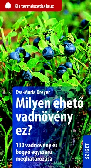 Milyen ehető vadnövény ez?