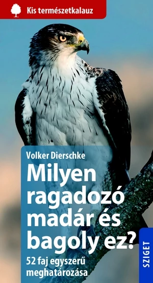Milyen ragadozó madár és bagoly ez?