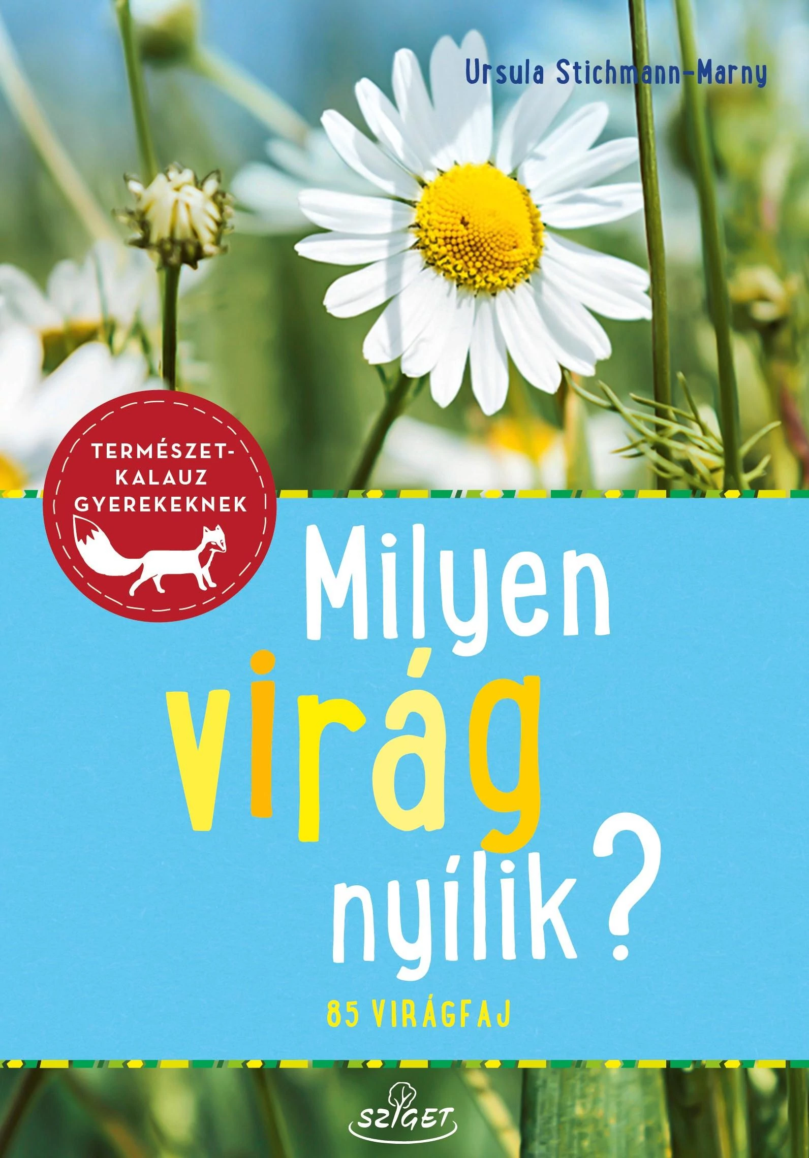 Milyen virág nyílik?