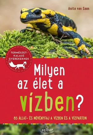 Milyen az élet a vízben?