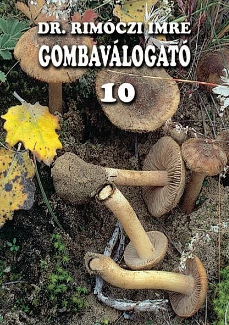 Gombaválogató 10.