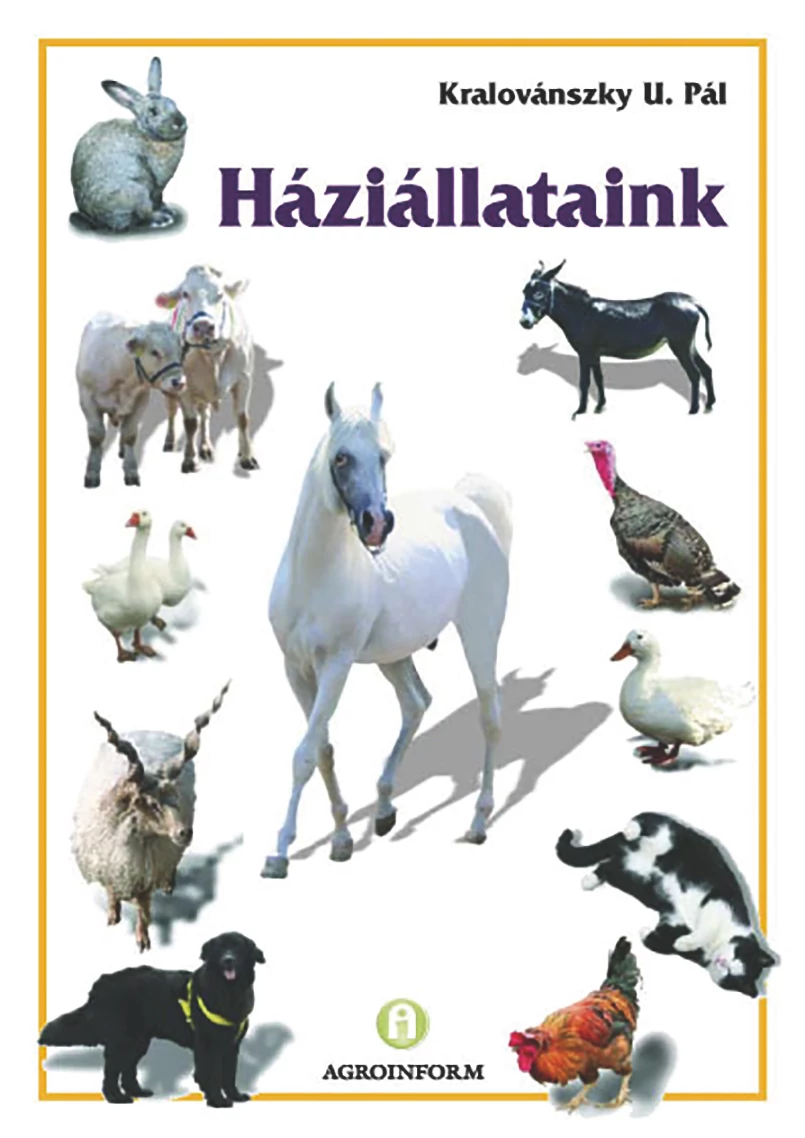 Háziállataink