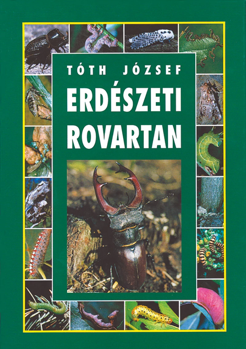 Erdészeti rovartan