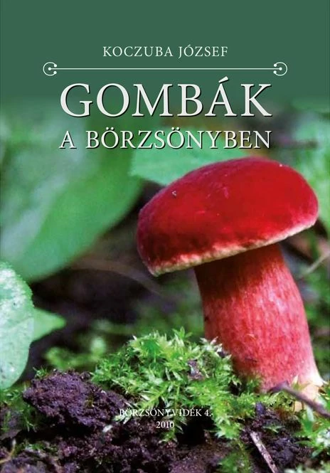 Gombák a Börzsönyben