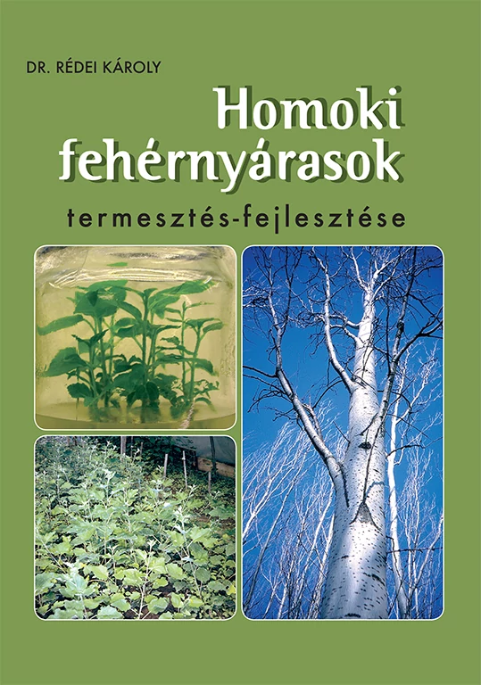 Homoki fehérnyárasok termesztés-fejlesztése