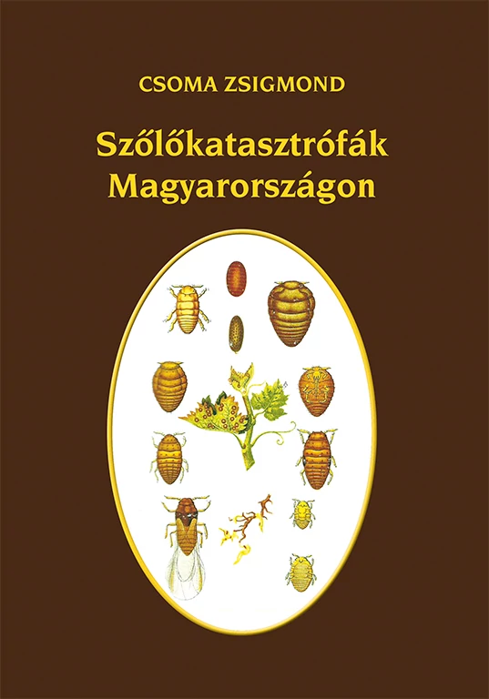 Szőlőkatasztrófák Magyarországon