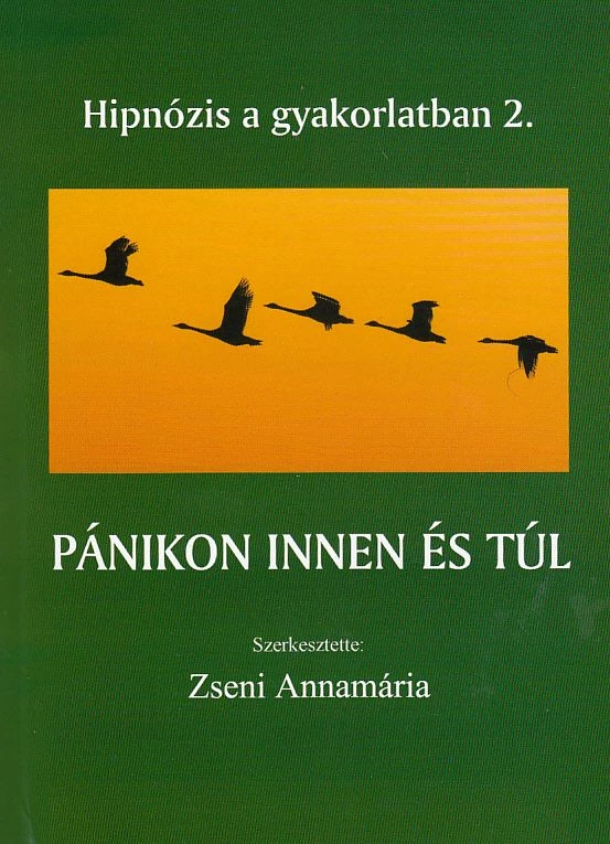 Pánikon innen és túl