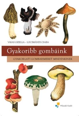 Gyakoribb gombáink