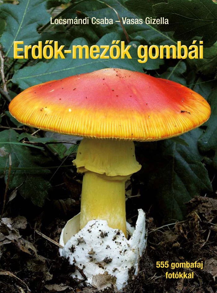 Erdők-mezők gombái