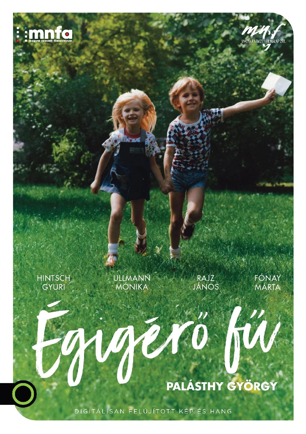 Égigérő fű (DVD)