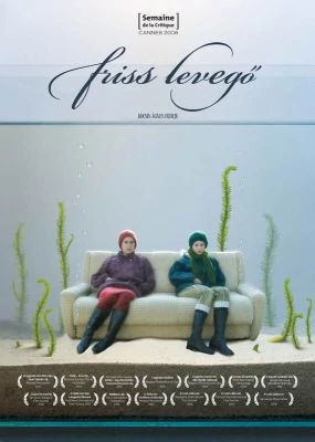 Friss levegő (DVD)