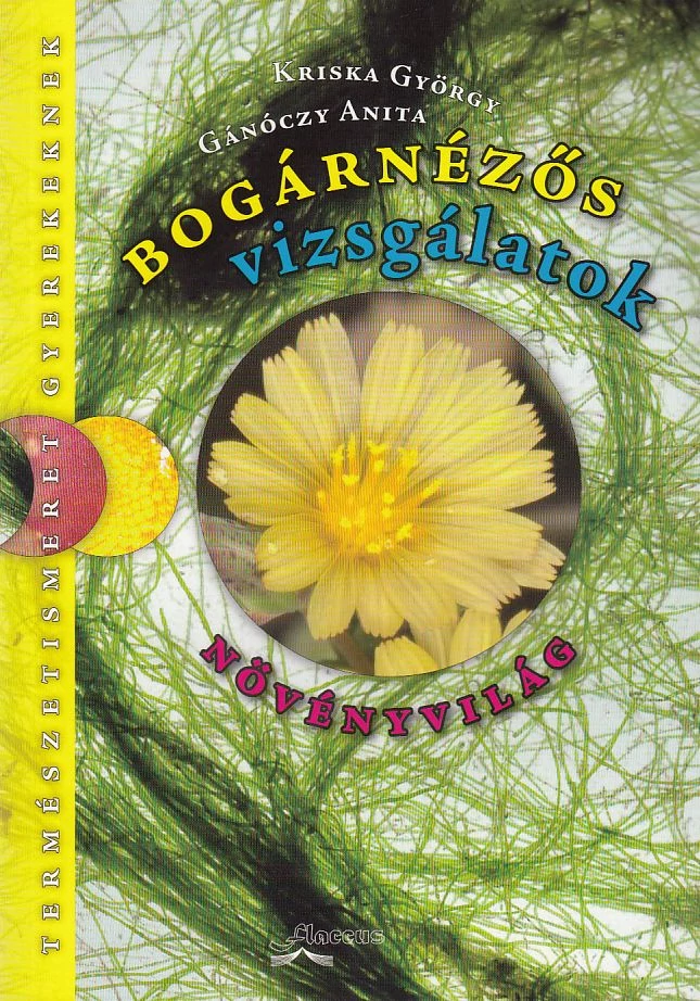 Bogárnézős vizsgálatok