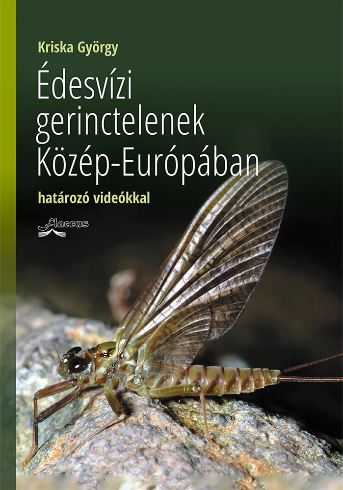 Édesvízi gerinctelenek Közép-Európában