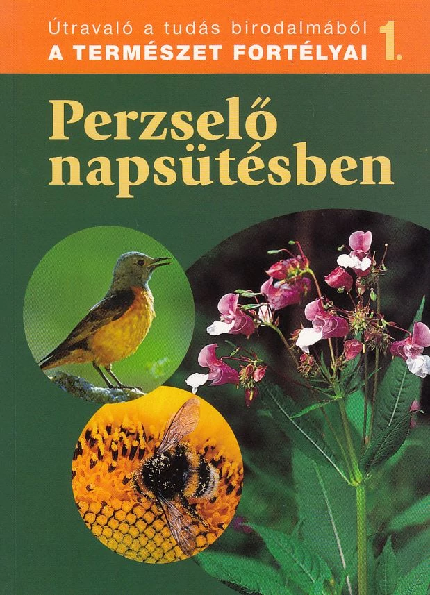 Perzselő napsütésben