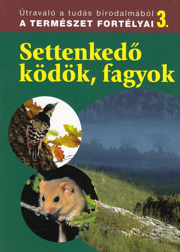 Settenkedő ködök, fagyok