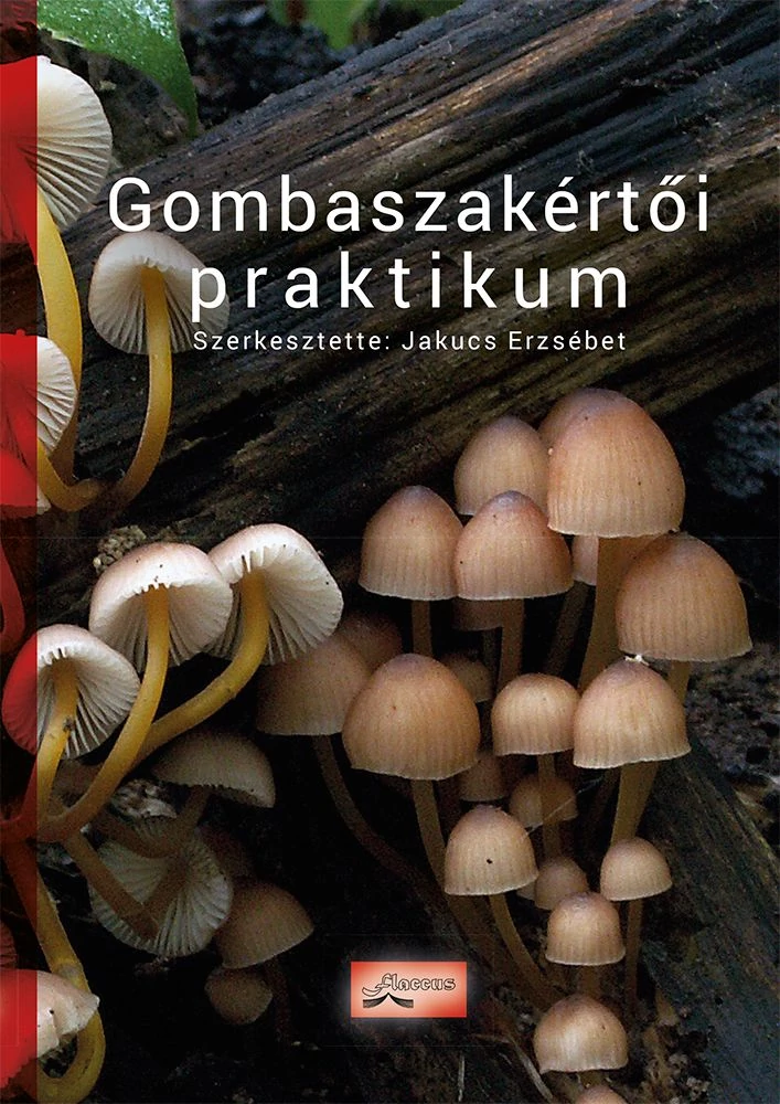 Gombaszakértői praktikum